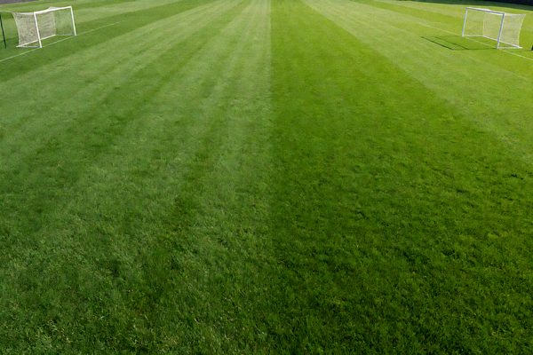 绿茵足球场全景，草坪整齐，球门清晰可见